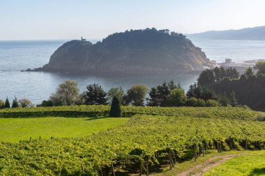 Vineyards with the Cantabrian sea in the background, Getaria, Spain clipart