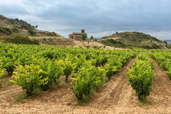 Vigneti Estate Con Cappella Santa Maria Piscina Sullo Sfondo Rioja — Foto Stock