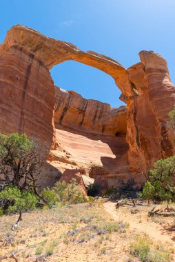 Mcinnis Kanyonları Ulusal Koruma Alanı Rattlesnake Kanyonu'nda East Rim Arch, Colorado State, Abd