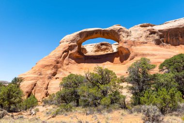 Mcinnis Kanyonları Ulusal Koruma Alanı Rattlesnake Kanyon'da Sedir Ağacı Arch, Colorado State, Abd