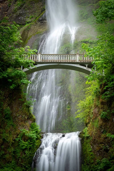 Multnomah Falls Columbia River Gorge Oregon Egyesült Államok — Stock Fotó