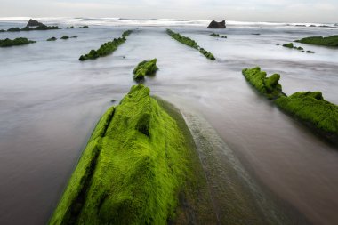 Barrika Plajı, Vizcaya, İspanya