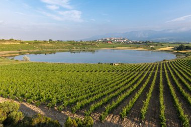 Arka planda Laguardia kasabası Rioja Alavesa, İspanya ile birlikte Vineyard ve Carralogroo Gölü