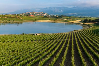 Arka planda Laguardia kasabası Rioja Alavesa, İspanya ile birlikte Vineyard ve Carralogroo Gölü
