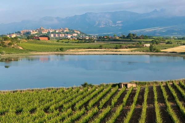 Vineyard Carralogroo Lake Laguardia Town Background Rioja Alavesa Spanyolország — Stock Fotó