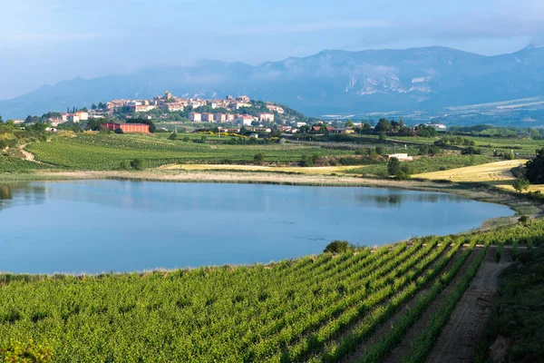 Vineyard Carralogroo Lake Laguardia Town Background Rioja Alavesa Spanyolország — Stock Fotó