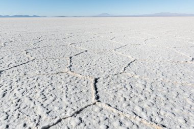 Bolivya 'daki Salar de Uyuni dünyanın en büyük tuz dairesidir.