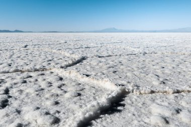 Bolivya 'daki Salar de Uyuni dünyanın en büyük tuz dairesidir.