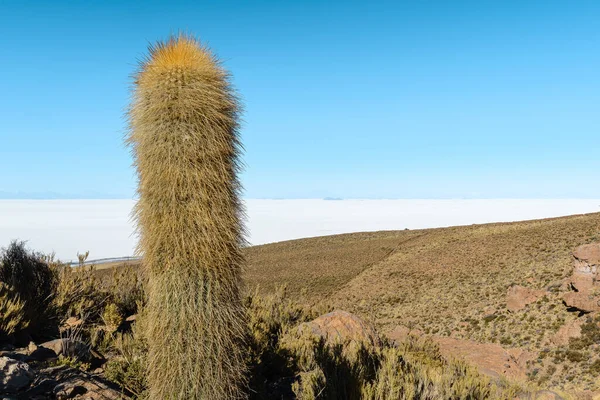 Солона Площина Уюні Вулкана Серро Тунупа Болівія — стокове фото