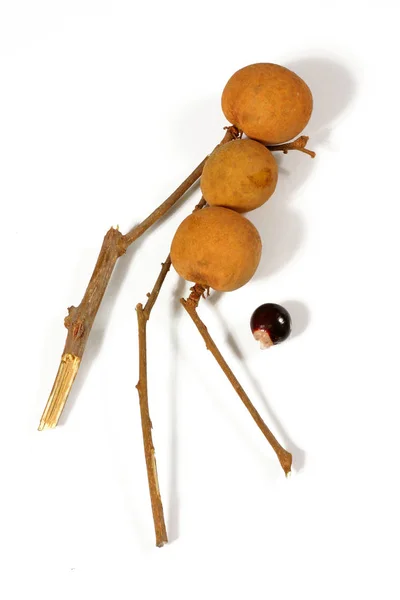 Longan Fruit Witte Achtergrond — Stockfoto