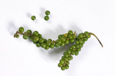 Bohça-in taze biber