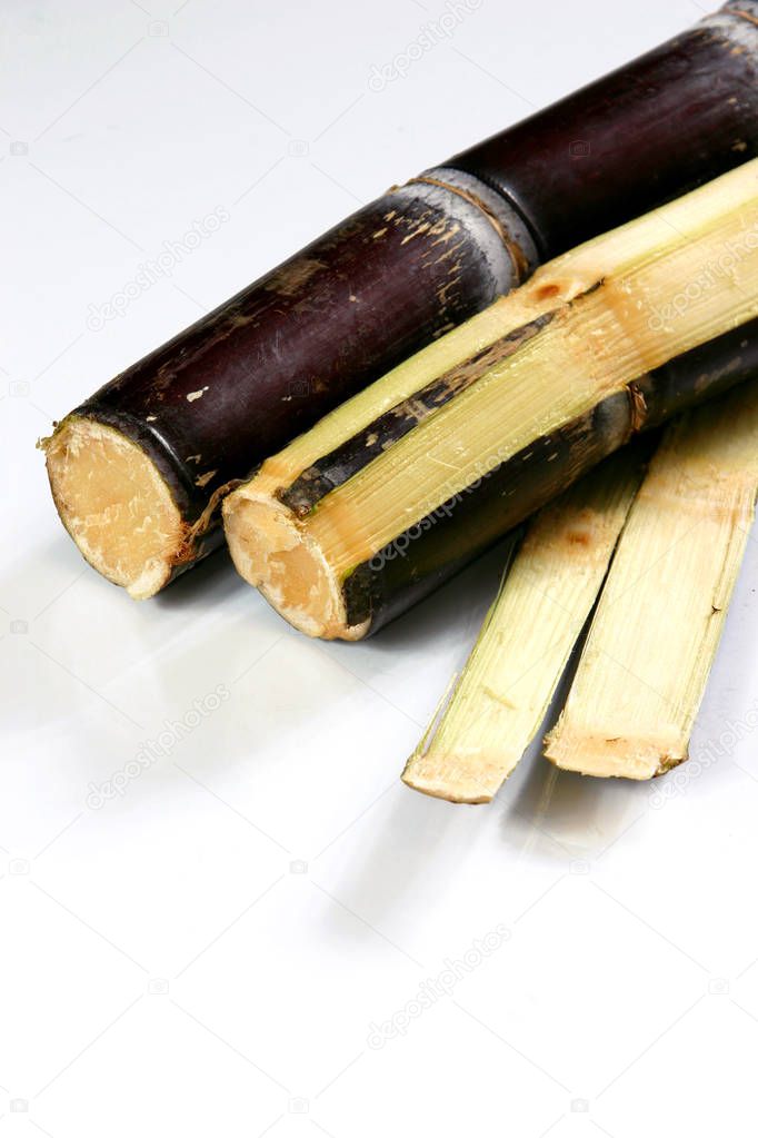 Close  up of sugar cane 