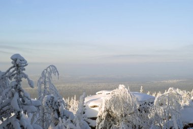 Kış manzara bir kuş bakışı - dağın tepesinden ağaçlık. Ön planda orada buz kaplı ağaçlar ve karla kaplı kaya