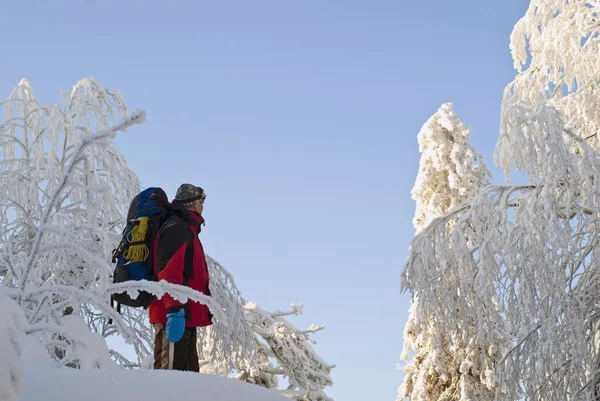Reisender Mann Mit Rucksack Einem Winterwald Mit Schönen Schneebedeckten Bäumen — Stockfoto