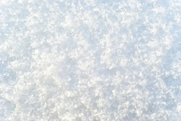 新鲜下降的雪明亮的白色表面 包括不同的个别雪花 — 图库照片