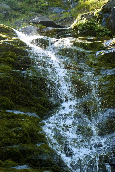 Una Piccola Cascata Con Schizzi Torrente Montagna Tra Pietre Muschiose — Foto Stock