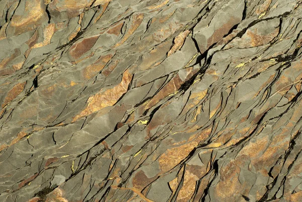 岩石纹理 暗褐色天然页岩与浅褐色斑点 — 图库照片