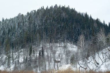 Kış karanlık kasvetli hava eteğindeki küçük bir kulübe hill ağaçlık