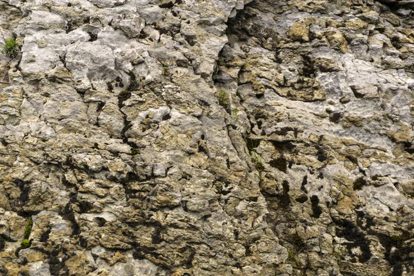 Fundo Textura Superfície Rocha Áspera Intempérie Natural Velha Com Plantas — Fotografia de Stock