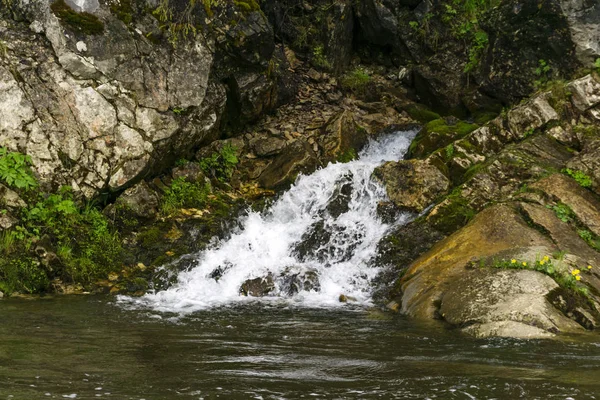 Spring Follows Waterfall Rock Flows River Precipitous River Bank — Stock Photo, Image