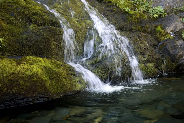 Fragment Une Petite Cascade Coulant Sur Les Pierres Moussues Dans — Photo