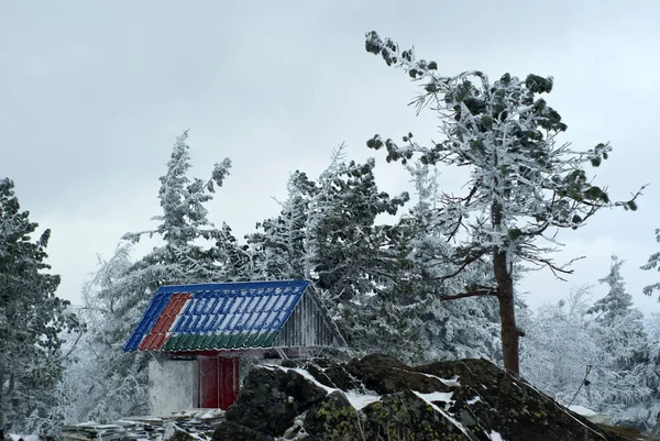 Kachkanar, Rusya - 09 Ocak 2018: gates de kış landscap arka planda Ural Budist manastır Shad Tchup Ling