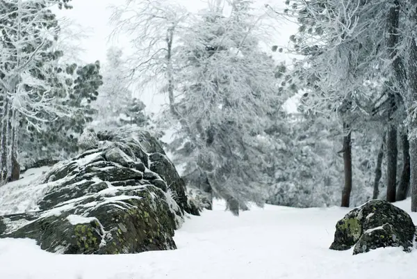 Krajobraz Północnej Płaskowyż Stony Pokrytych Śniegiem Skały Skupić Się Najbliższy — Zdjęcie stockowe