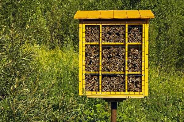 Homemade Artificial Nest Block Wild Solitary Mason Bees Pollination Plants — Stock Photo, Image