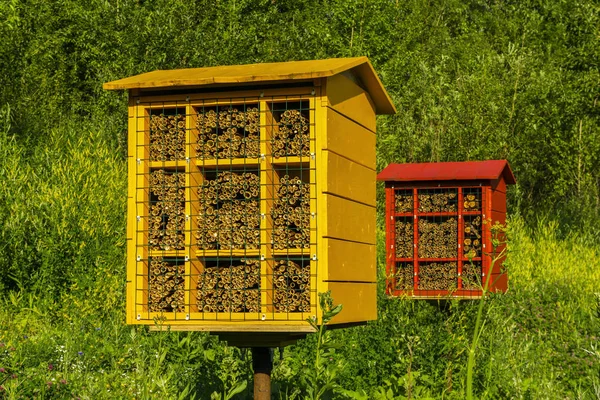 vahşi yalnız mason arılar için bitkilerin tozlaşma için çok renkli yapay yuva blokları
