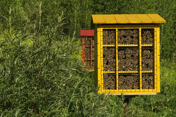 Multicolored Artificial Nest Blocks Wild Solitary Mason Bees Pollination Plant — Stock Photo, Image