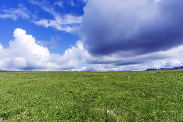 Paisaje Ártico Verano Tundra Rocosa Cubierta Hierba Bajo Cielo Azul — Foto de Stock