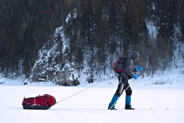 Лыжник Грузовыми Санями Идущий Вдоль Замерзшей Реки Против Скалистого Лесистого — стоковое фото