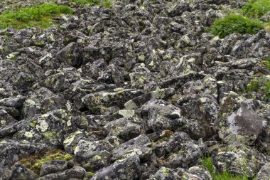 alan (taş koşmak ya da taş nehir denir) rock kayalar Highlands tipik manzaralar biridir