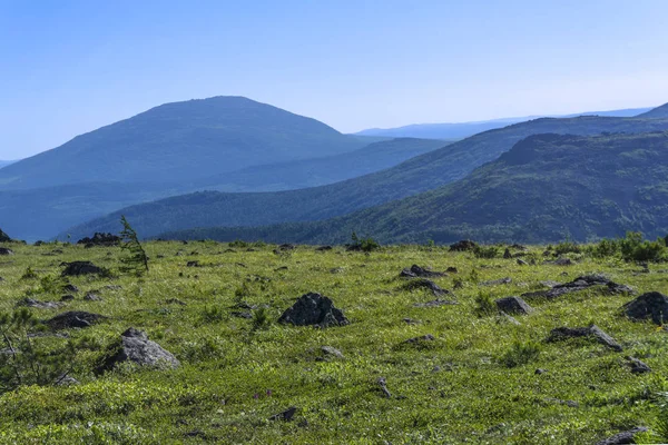 Vacker Solig Sommar Bergslandskapet Norra Ural — Stockfoto