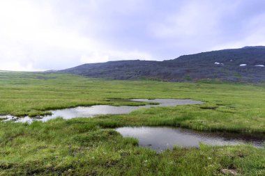Bataklık bir açık deniz göl dağ tundra ile kaldırdı