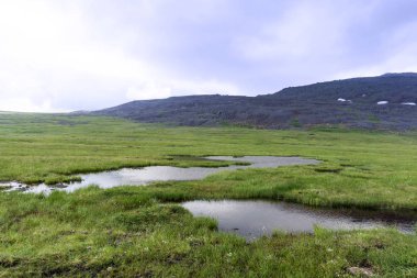Raised bog with an open water lake in the mountain tundra clipart