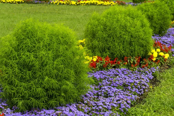 Landschaftsgestaltung Mit Blumenbeet Und Sträuchern — Stockfoto