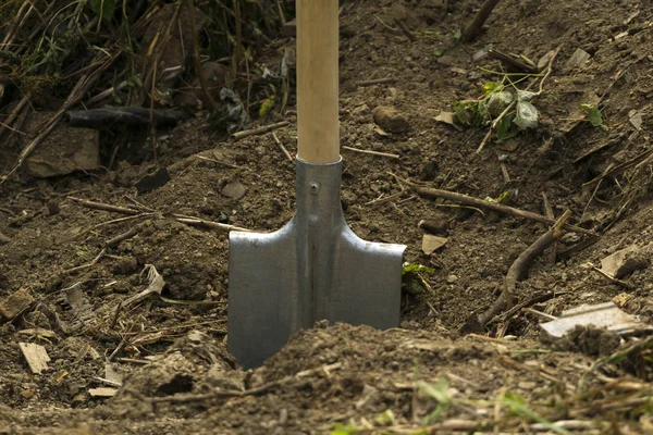 Einfache Schaufel Mit Einem Holzgriff Steckt Einem Trockenen Boden Einem — Stockfoto