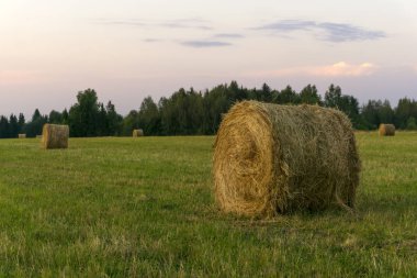 büyük yuvarlak balya saman bırakır eğimli bir çayır on 