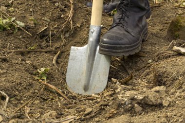 a man digs a dry earth with a spade - close-up of a foot in an army boot, resting on a blade clipart
