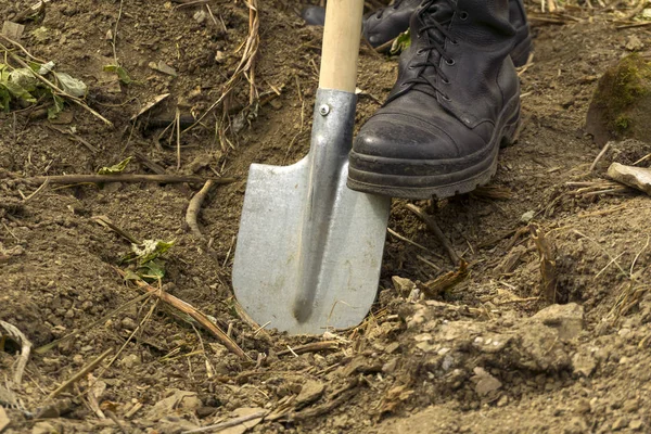 Man Digs Dry Earth Spade Close Foot Army Boot Resting — Stock Photo, Image