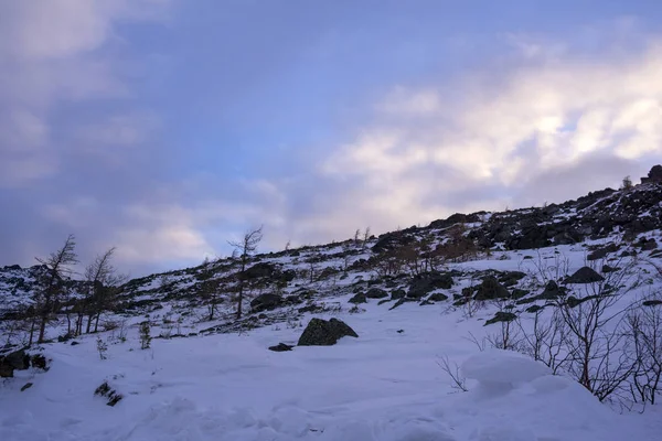 Melez Bitki Woodlan Ile Dağlık Karla Kaplı Kayalık Dağ Yamacı — Stok fotoğraf