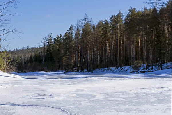 Landschap Een Rivier Bevroren Bos Een Zonnige Maart Dag — Stockfoto