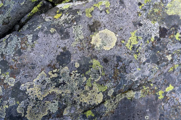 Fondo Textura Superficie Una Roca Granito Natural Con Manchas Multicolores —  Fotos de Stock