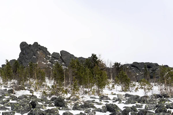 Schiefer Zwergenwald Fuße Von Granitfelsen Hochland Winter — Stockfoto