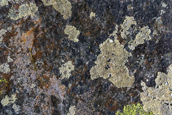 Fundo Textura Superfície Uma Pedra Granito Natural Com Manchas Multicoloridas — Fotografia de Stock