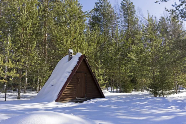 Rustic Ice House Refrigerator Entrance Pine Forest Sunny Winter Day — Stock Photo, Image