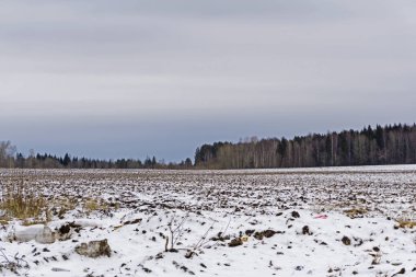 kar erken ilkbaharda, mesafe bir koru erime ile sürülmüş alan