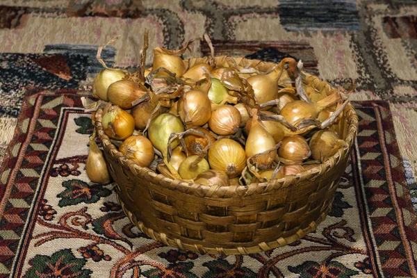 bulbs of yellow onion, intended for planting in the soil, in a small birch bark basket