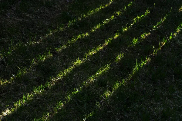 Fundo Listras Brilhantes Luz Solar Através Das Lacunas Entre Placas — Fotografia de Stock